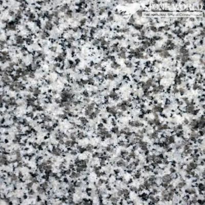 Polishded Bianco Rio G439 Granite Slabs for Countertops &amp; Vanities (MT006)