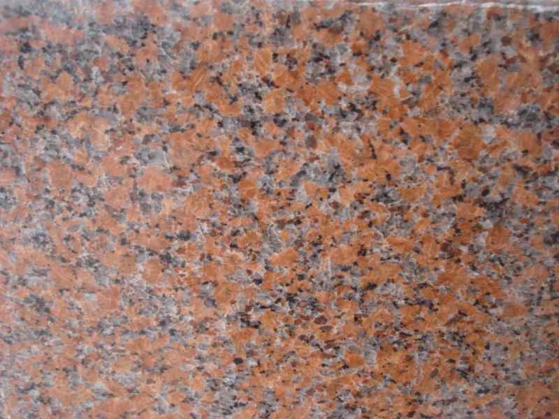 Cheap 24 X 24 Polished G562 Maple Red Granite Tile
