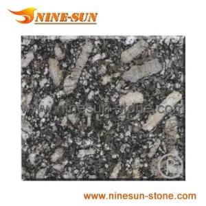 Giallo Silver Granite (YX-G580)