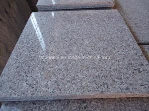 China Rosa Porrino Pink Granite-G635