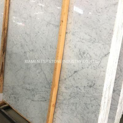 Good Price White Marble Bianco Carrara Venato Slab Tile