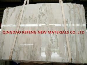 Ocean Galaxy Natural Marble for Countertop and Flooring