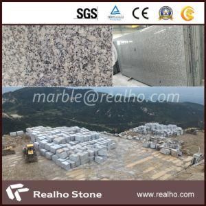 Own Quarry G602 Grey Granite with SGS Certificated (RHCA-012)