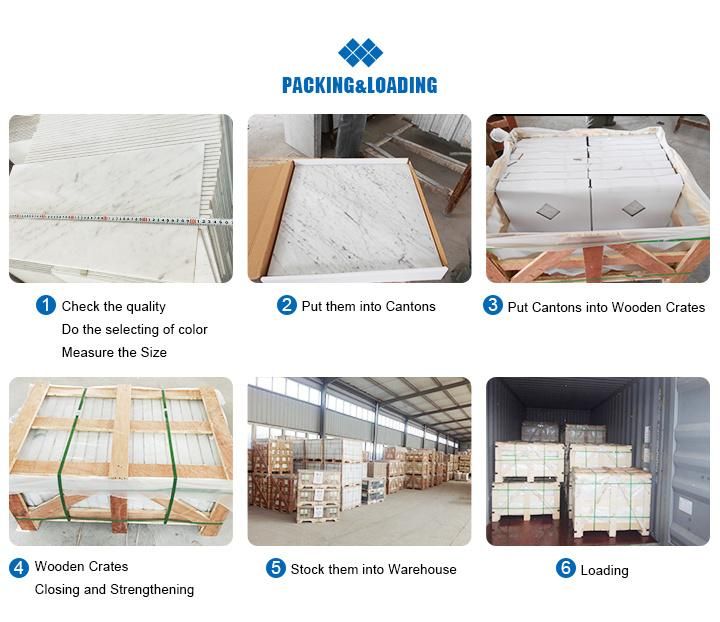 Volakas White Marble Natural White Marble with Grey Veins Polished Slabs Floor Tile Wall Tile