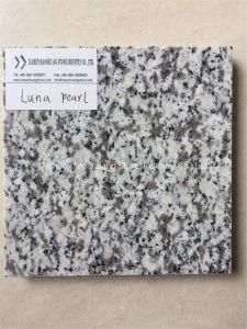 High Quality Polished Natural Luna Pearl Granite Slab for Kitchen Tops/ Hotel Project/Home Decoration