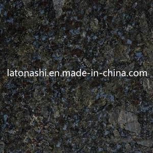 Factory Price Butterfly Blue Granite Tiles Cut-to-Size for Floor, Paving