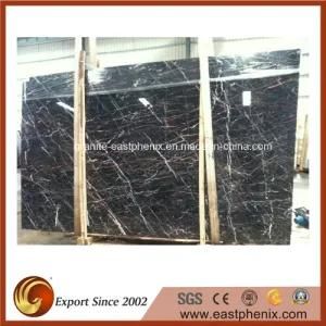 Imported Lauren Black Marble Slabs for Tombstone Slab/Countertop