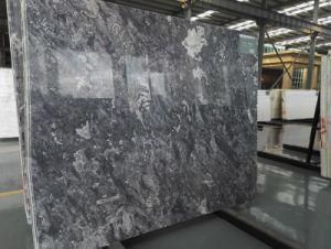 Polished Ocean Star Marble