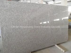 High Quality G664 Granite Slab for Wall/Floor Decoration