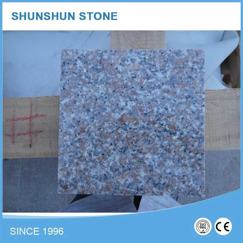 G648 Granite Slab for Countertops/Kitchen Tops/Vanity Tops