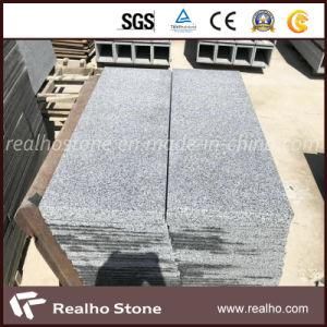 Low Price New G654 Padang Dark Grey Granite Floor Tiles for Sales