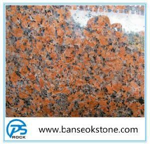 China Red Granite G562 Tile &amp; Slab, Cheap Red Granite