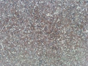 Paving Tile, Chinese Granite Tile, Polished Granite, G648 Granite