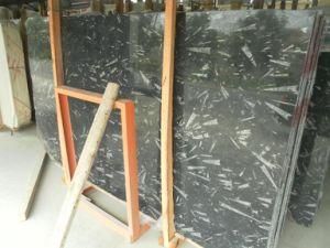 Ocean Star Marble Slab for Countertops and Building Materials