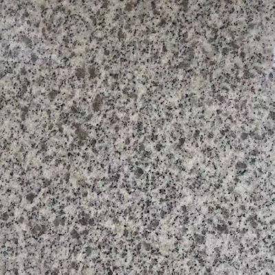 China Litchi/Sandblast/Anti-Slip Impala Grey Granite for Park Tiles