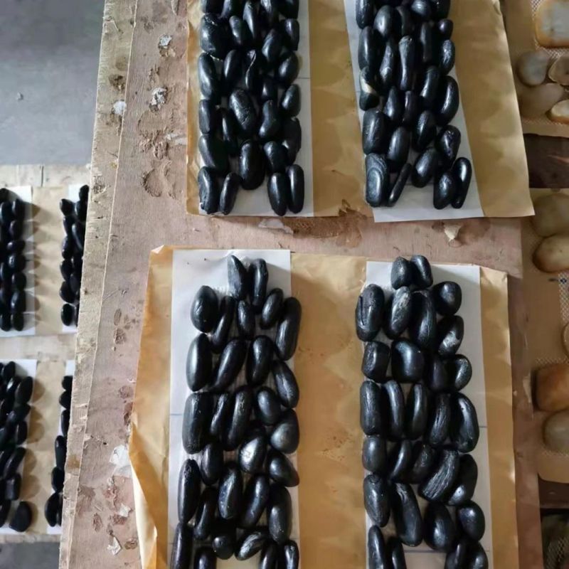 Standing Black Color River Stone Pebble Mosaic Border Tile for Home Decoration