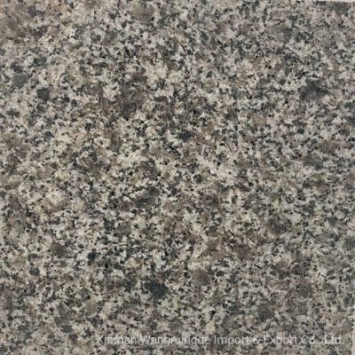 Rich Texture and Grey Granite with Discount Use for Outdoor Decoration or Architectural Appearance