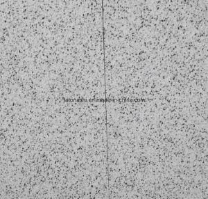 Granite Bethel White for Countertop Slabs, Wall Facade and Flooring Tiles