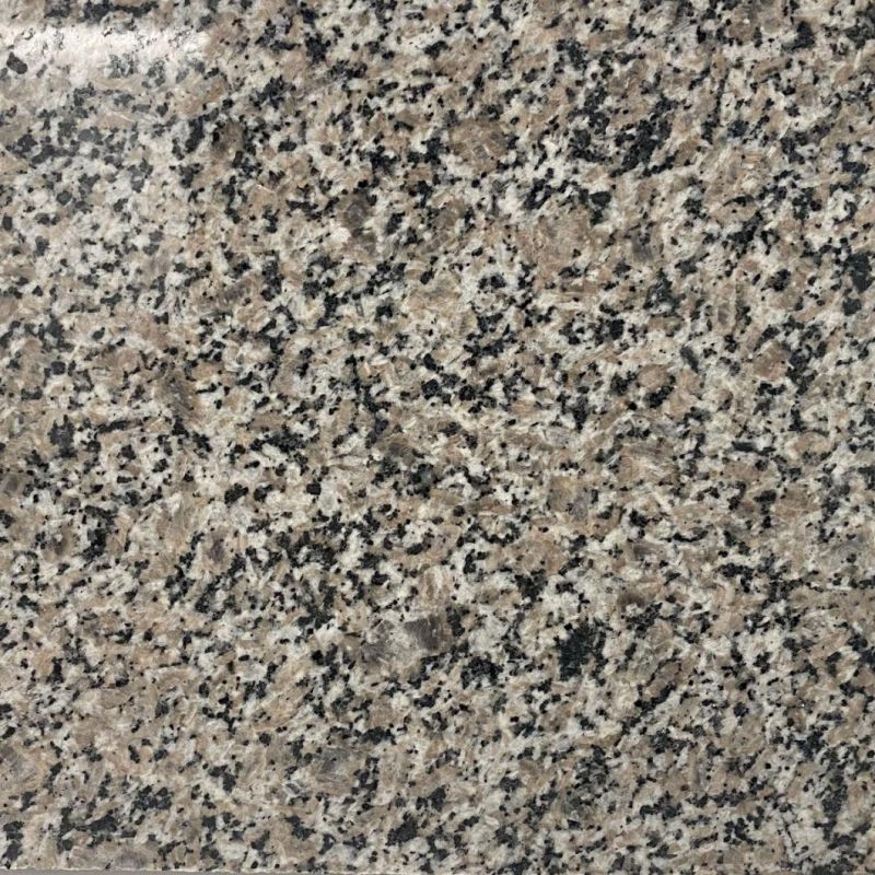 China Natural Stone Wulian New Grey for Kitchen Countertops