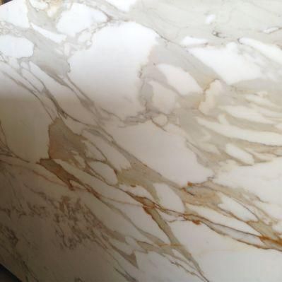 Natural Stone Calaeatta White Marble for Home/Kitchen Decoration
