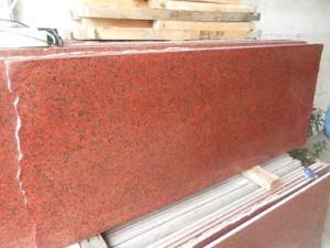 Imported Granite New India Red for Tiles/Countertops/Kitchentops/Hotel/Building Materials