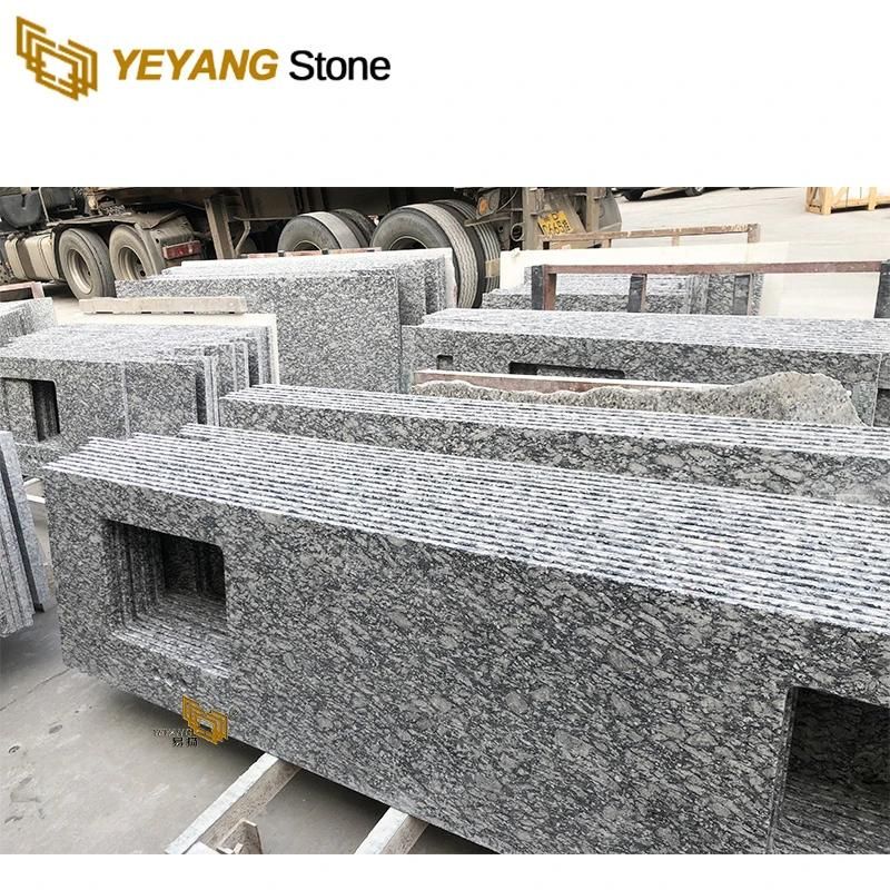 Newly White Granite Slab Countertop/Vantiy Bathroom/Kitchen/Garden/Outside Worktop Wholesale