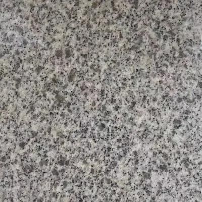 Litchi Surface White/Grey Granite Slabs for Outdoor Floor Decoration