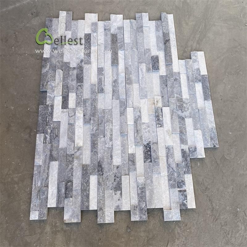 Black Quartzite Exterior Decorate Wall Panel