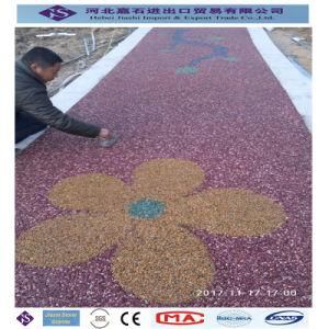 Mixed Color Pebblestone for Garden and Playground Paving