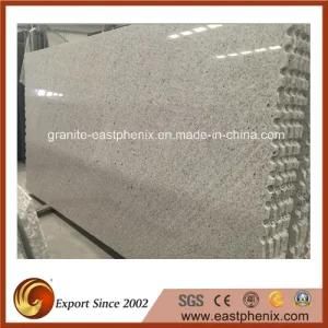 Hot Sale Grey Granite Stone Slab for Countertop or Tombstone