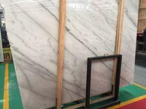 Natural Stone Polished/Honed/Antique/Sandblasted Guangxi White Marble Tiles for Interiors/ Indoor/ Floor/Wall Decoration