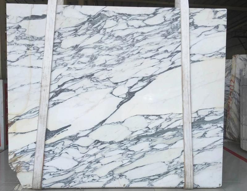 Arabescato Corchia Marble Arabescato White Marble Slabs