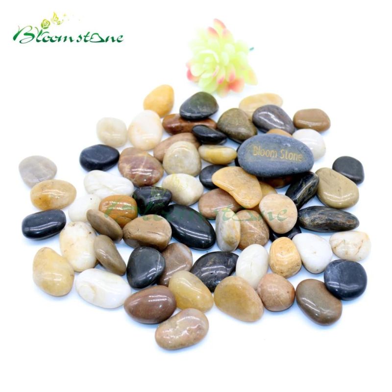 Landscape Stone High Polished Pebble Mix Stone for Garden Decoration/Multi Colour Pebbles