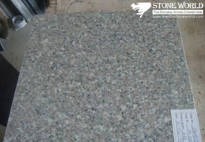 Polished G636 Granite Tile for Flooring/Wall