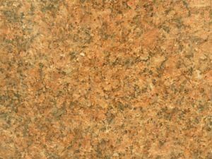 Imported Granite Giallo Veneziano for Tiles/Countertops/Kitchentops/Hotel/Building Materials