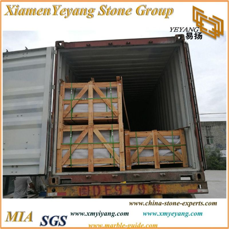 Factory Supply Santa Cecilia Light Granite for Countertops/Vanity/Island/Bar Top Wholesale