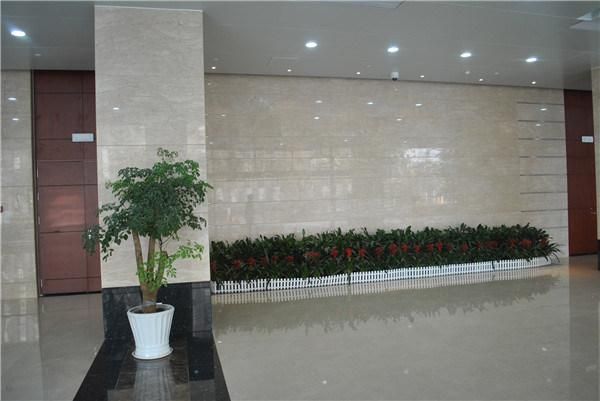 Amasya Beige Marble, Marble Tiles and Marble Slabs