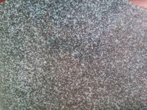 G612 China Olive Green / China Granite Tiles &amp; Slabs, Floor &amp; Wall