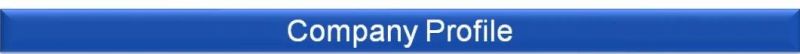 Hot Sale Flame Composite Blue Pearl Granite Quarry Swimming Pool
