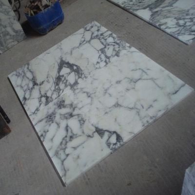 Polishing Italy Marble Tile Arabescato Vagil Corchia White Marble