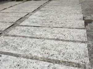 Natural Stone Galaxy White Granite for Bar Tops/Table/Countertops/ Bathroom Tops