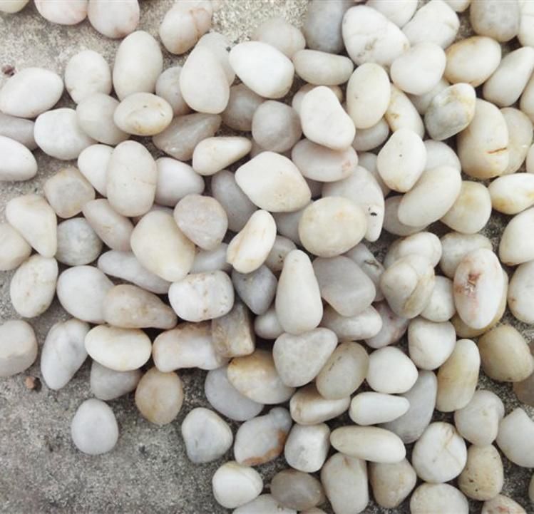 China Wholesale Cheap Price Polished Colorful Driveway Pebble Stones