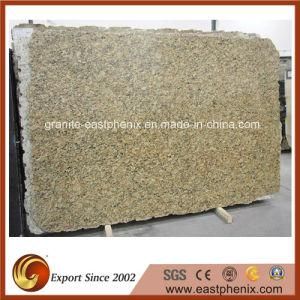 Good Quality Venetian Gold Granite Concrete Slab