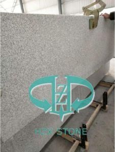 Grey Granite/G603/Granite Tile/Granite Slab/Slabs/ Granite
