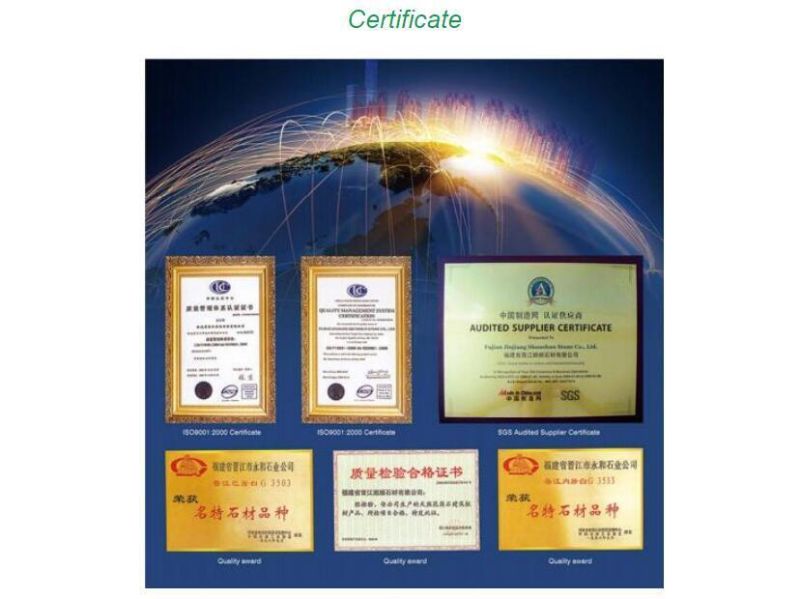 Cheap Chinese Natural Granite Tile G682 Floor Tile Paving Stone Best Choice
