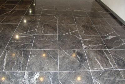 Grigio Carnico Marble Tile for Wall/Floor/Bathroom