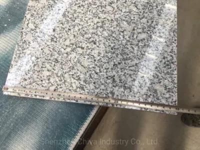 Premium Quality Bianco Sardo Granite Stone/Paving Floor/Wall/Tiles Polished/Chamfer/Calibrated 61X30.5X1cm