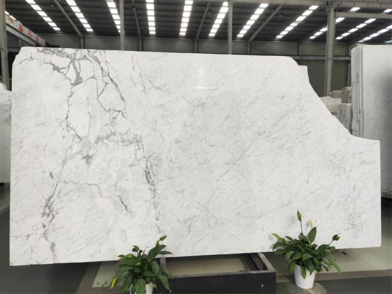 Snow White Stone Marble for Flooring Tiles Slabs Countertops/Worktops/Vanitytops