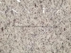 Brazil Rose White Granite for Kitchen and Vanity Countertop