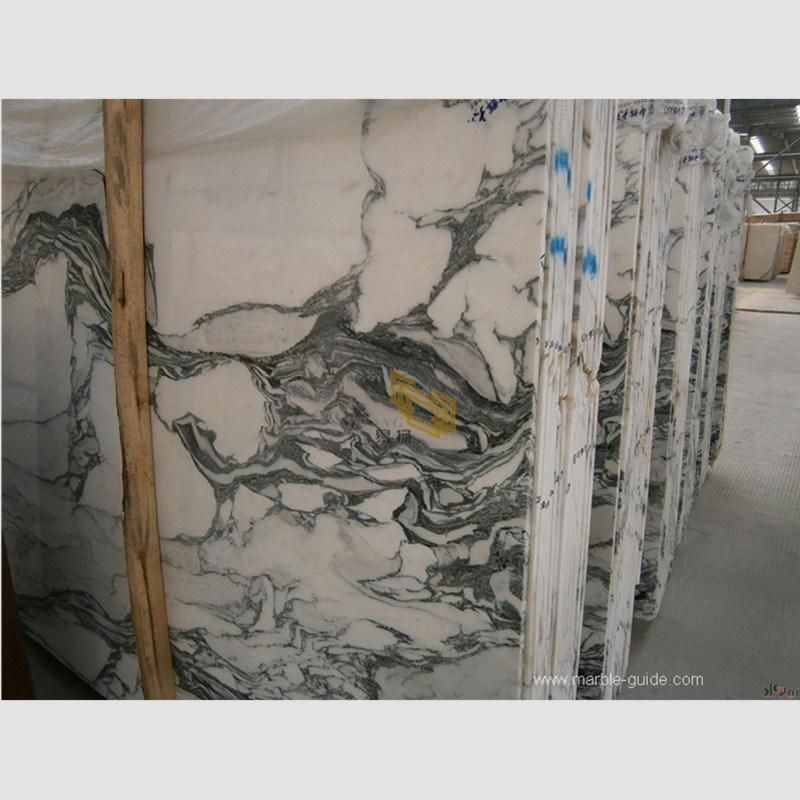 Arabescato White Marble Supplier for Kitchen Island/Bathroom/Vanity/Sink/Flooring/Wall/Countertop